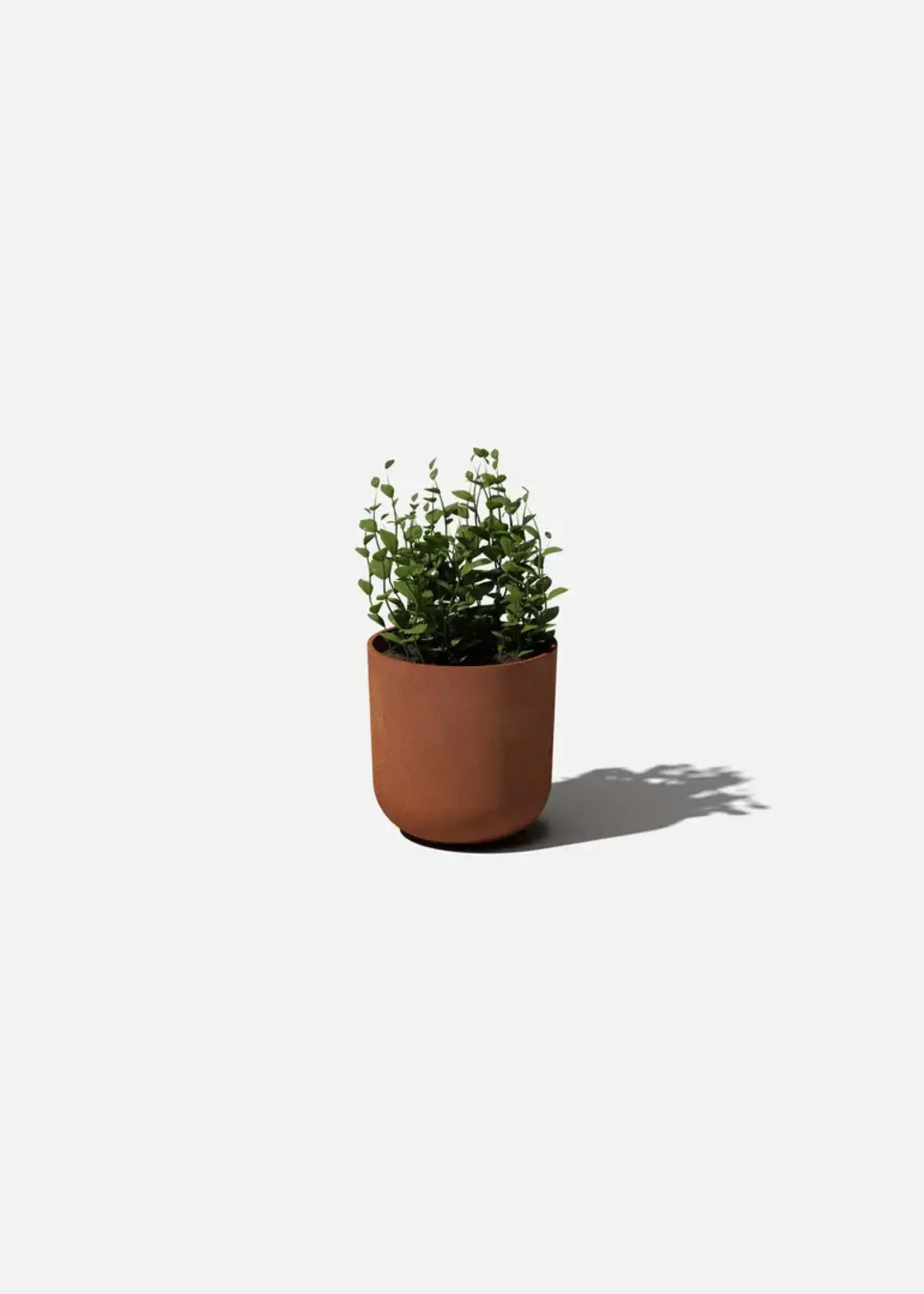 Veradek Patina Kona Planter (Choisir Size)