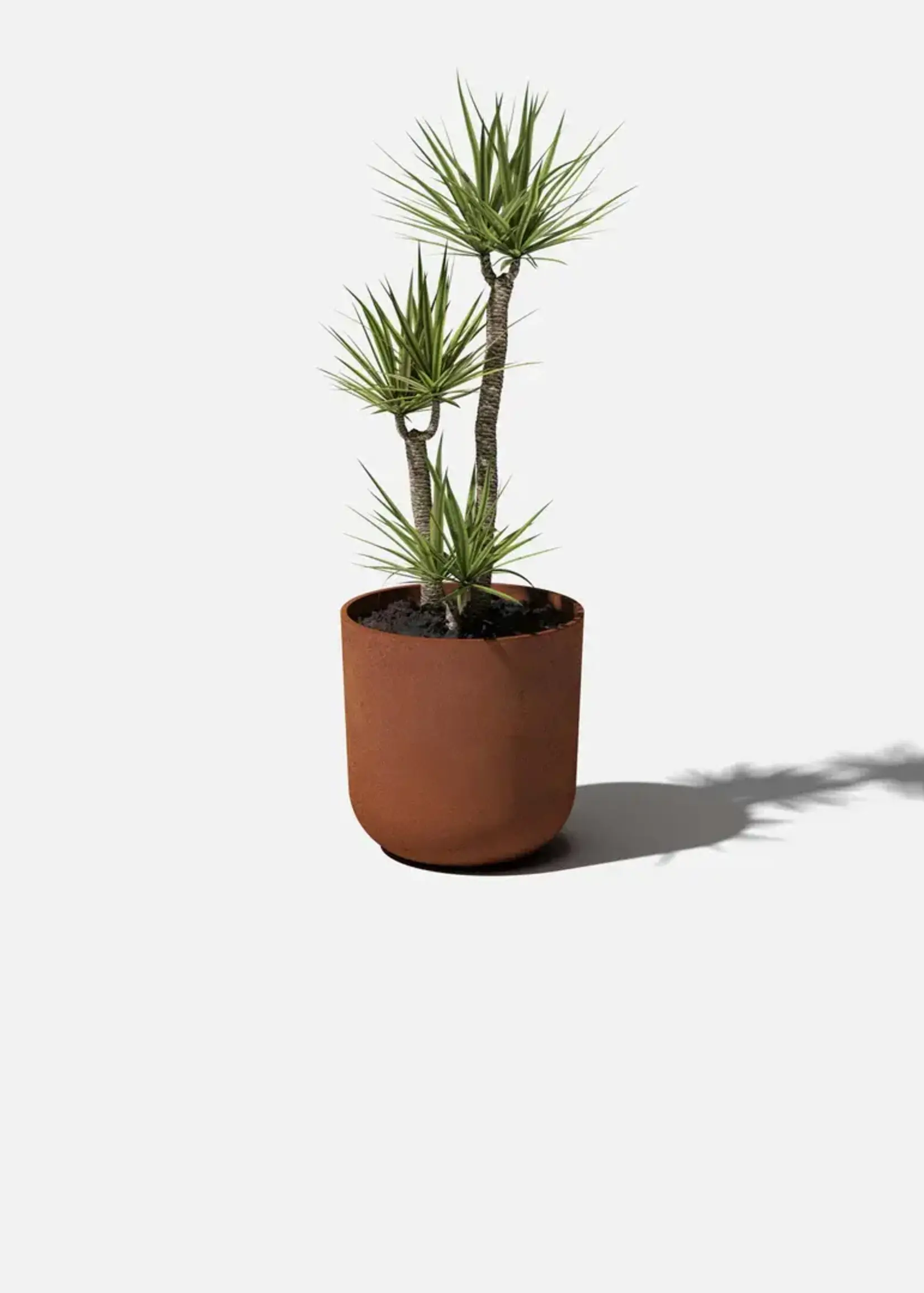 Veradek Patina Kona Planter (Choisir Size)