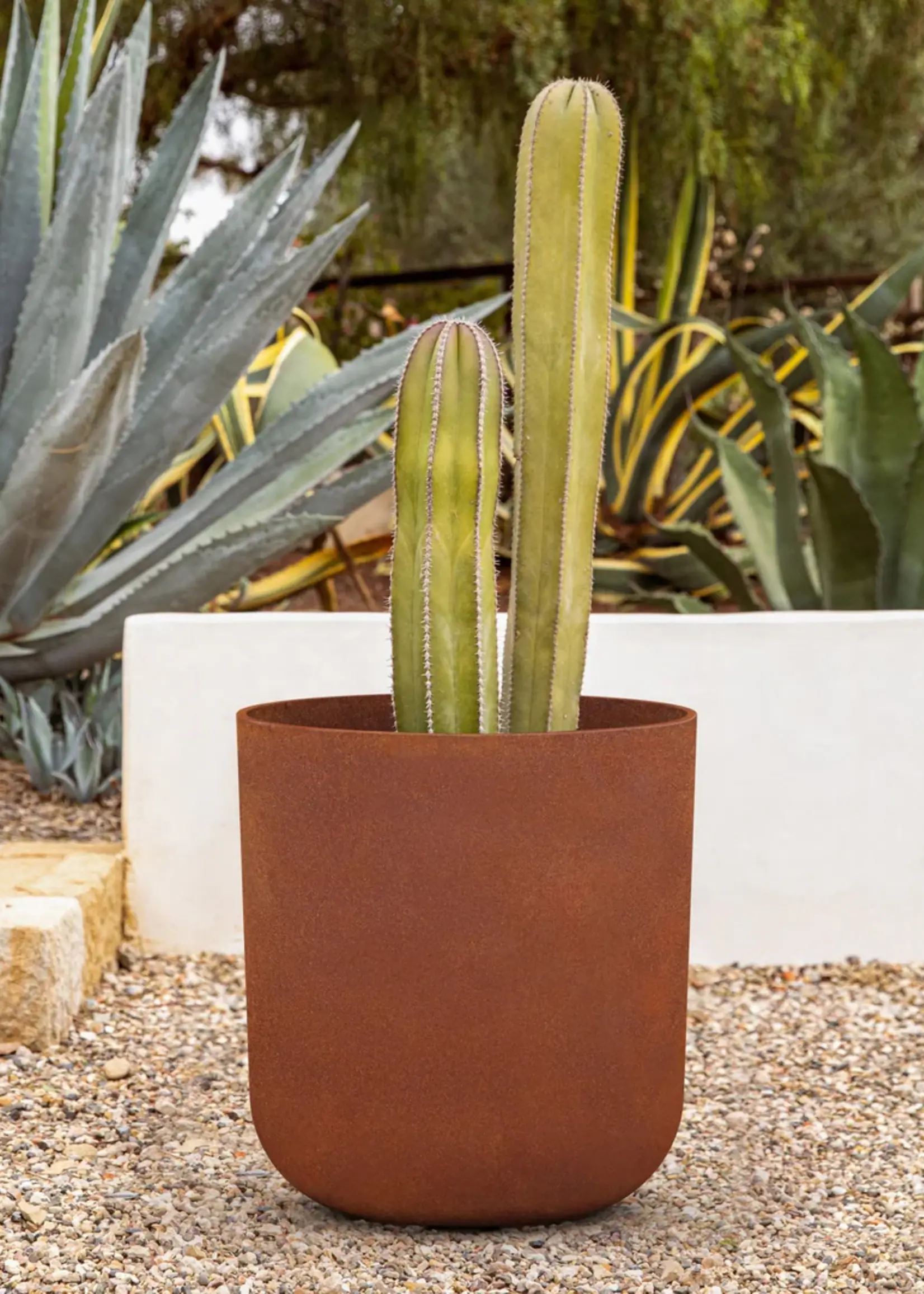 Veradek Pot Patina Kona (Choisir Format)