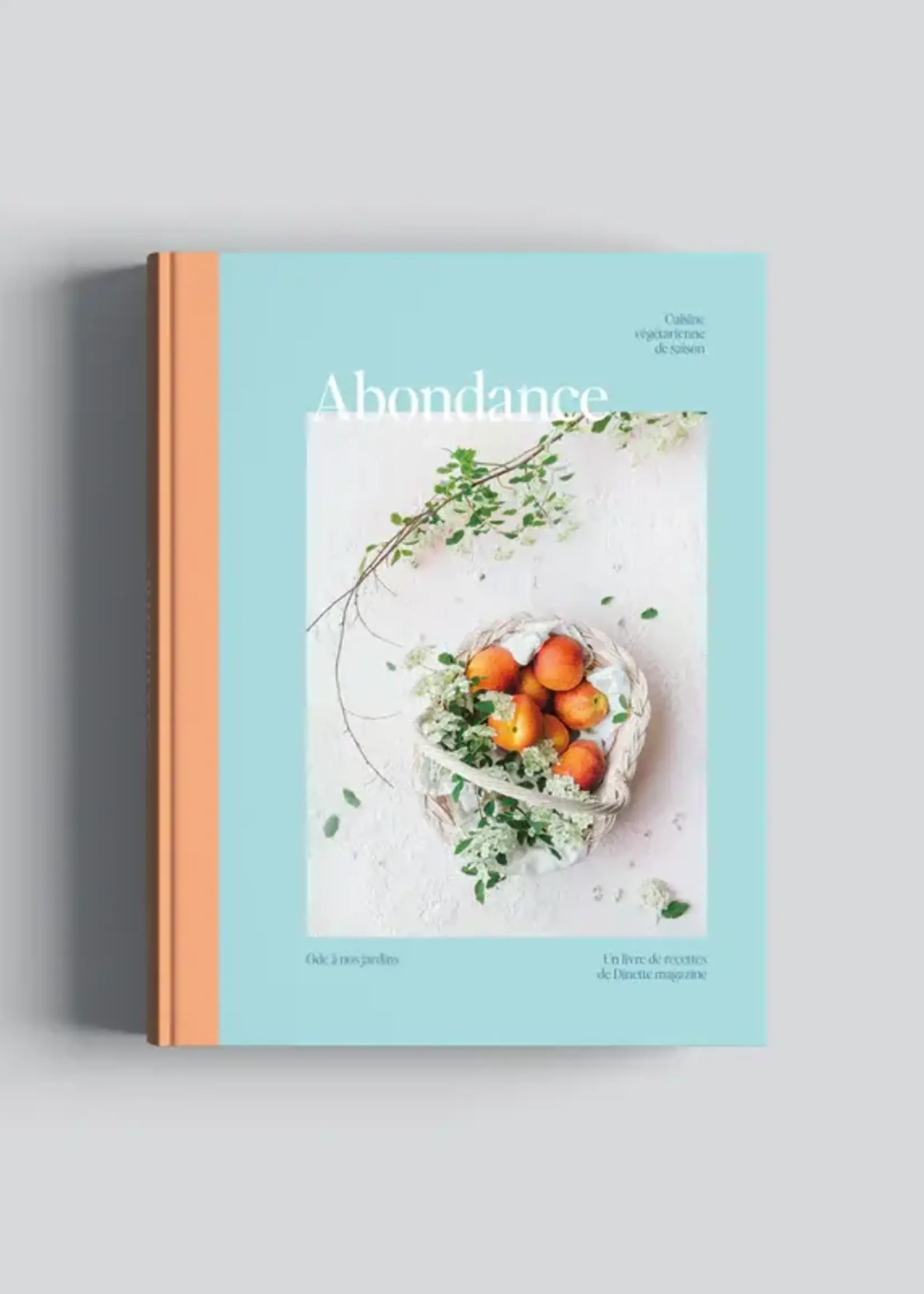 Dinette Magazine Abondance