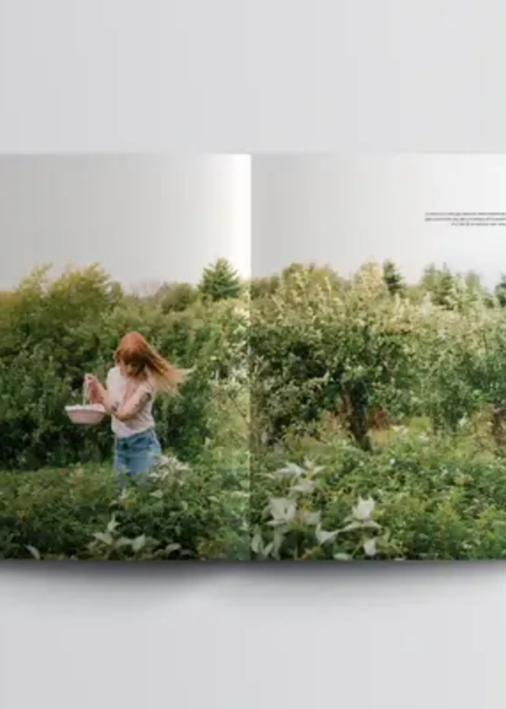 Dinette Magazine Abondance