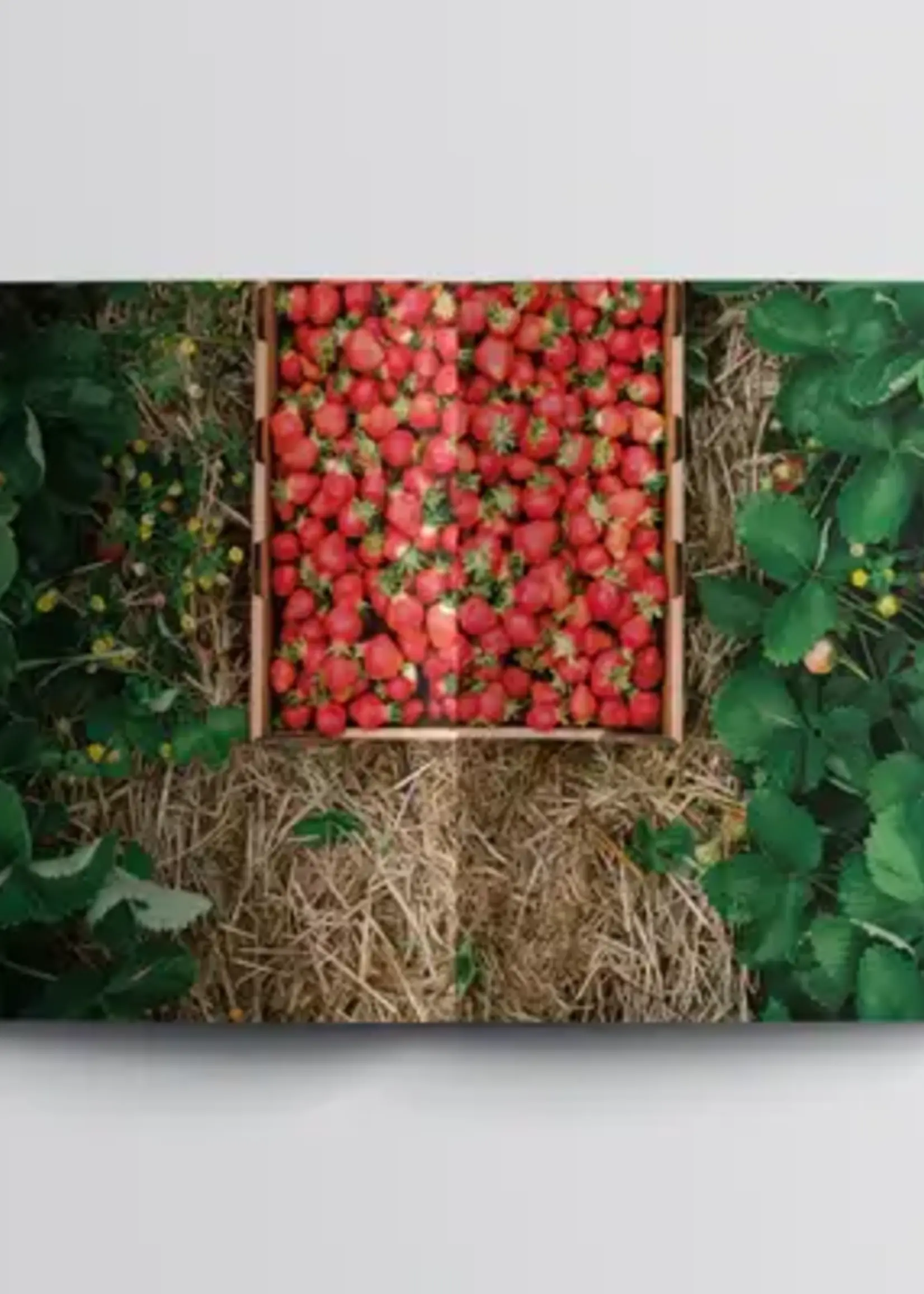 Dinette Magazine Abondance