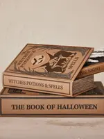 Halloween Themed Book Storage Boxes - Set of 3