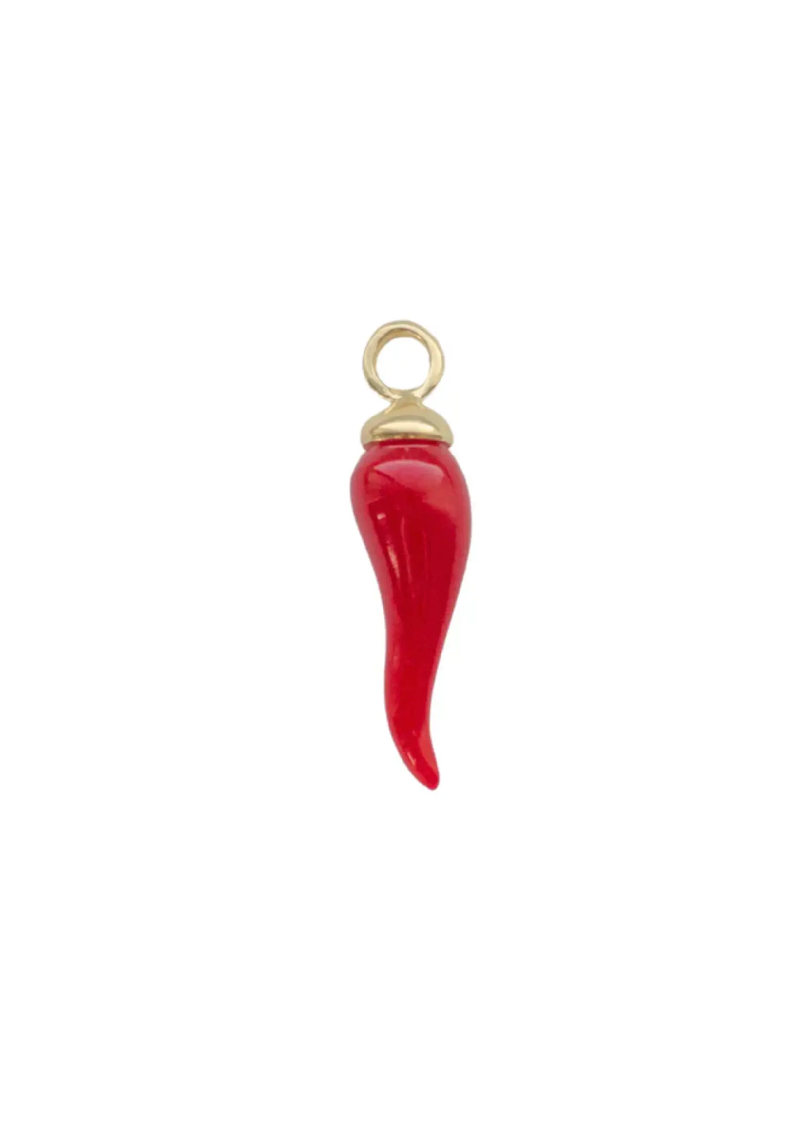 Ken & Jame Red Chili Pepper Charm