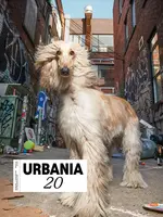 Éditions Cardinal Urbania 20. Rendre l'Ordinaire Extraordinaire