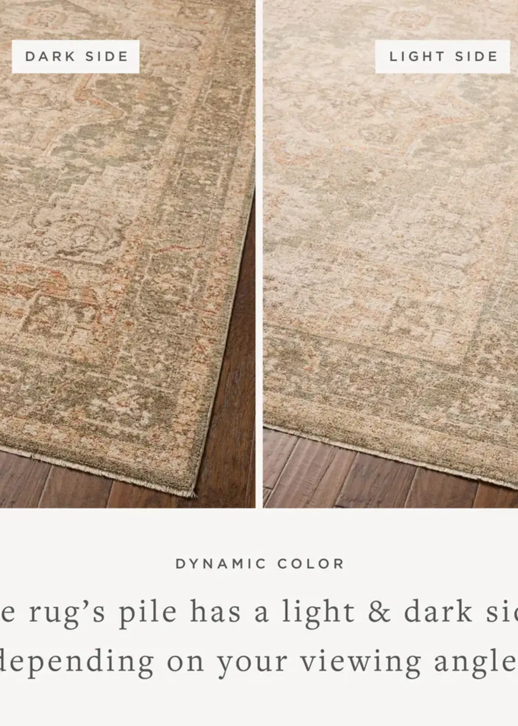 Loloi Palma Rug - 5'3''x7'6''