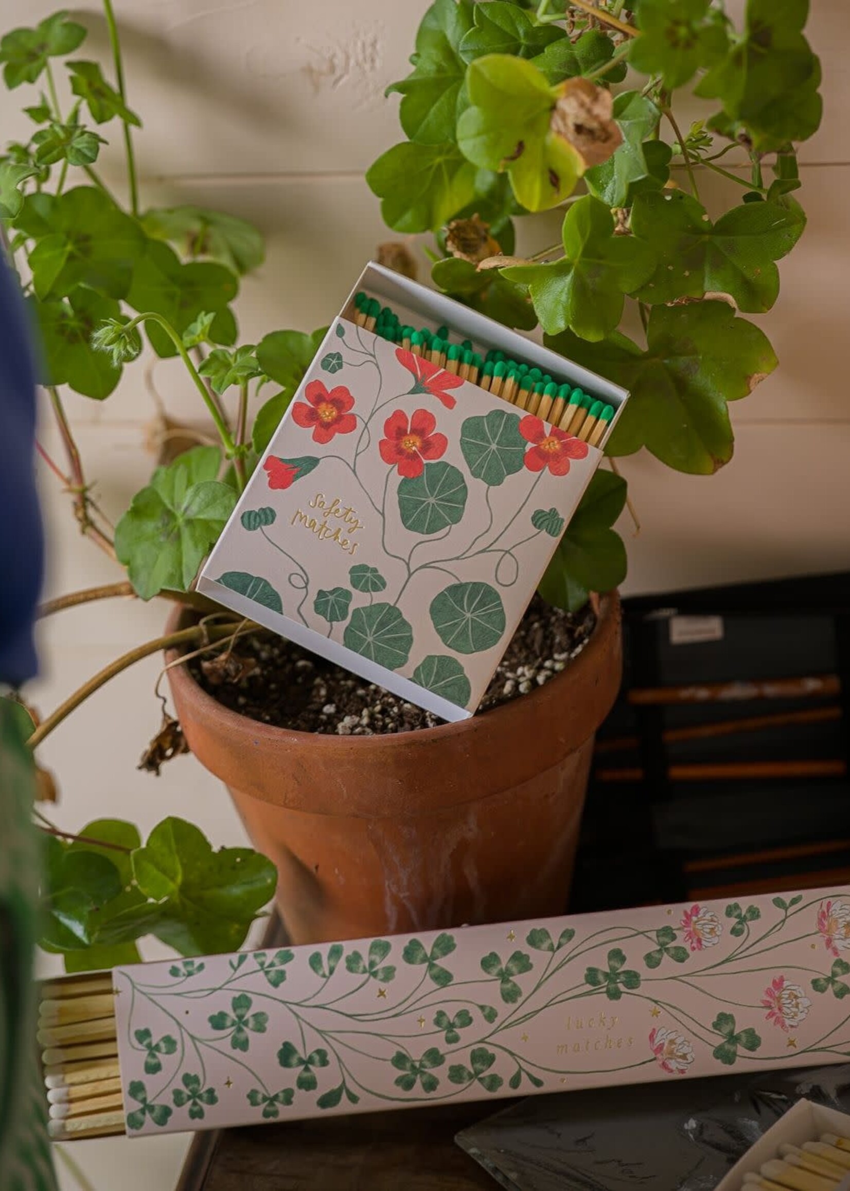 Nasturtium Matches