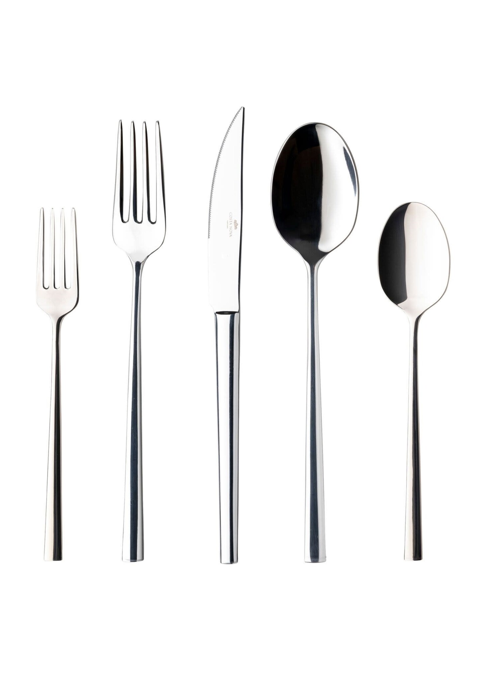 Costa Nova Vela Polished Place Setting