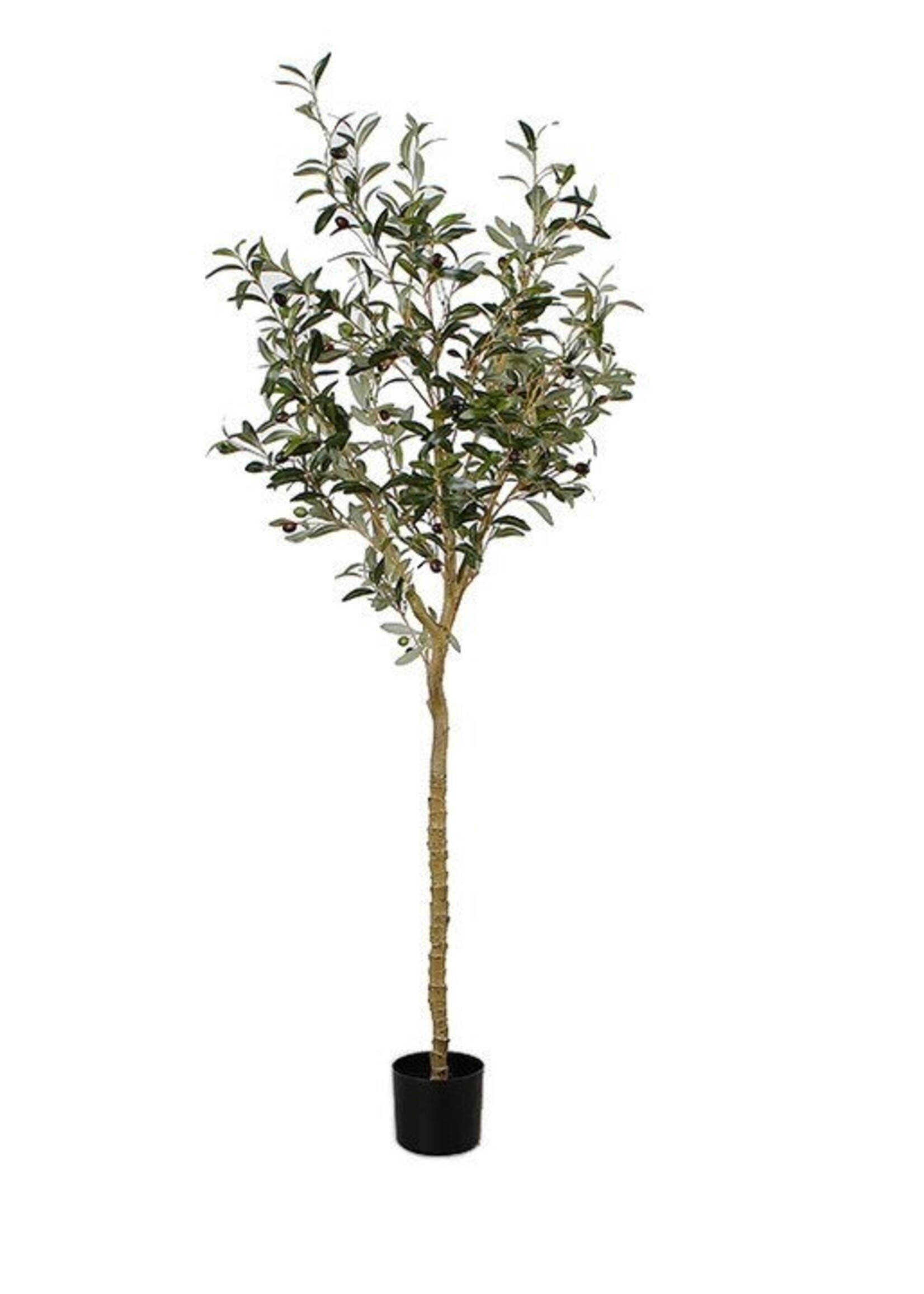 Artificial Olive Tree in Pot