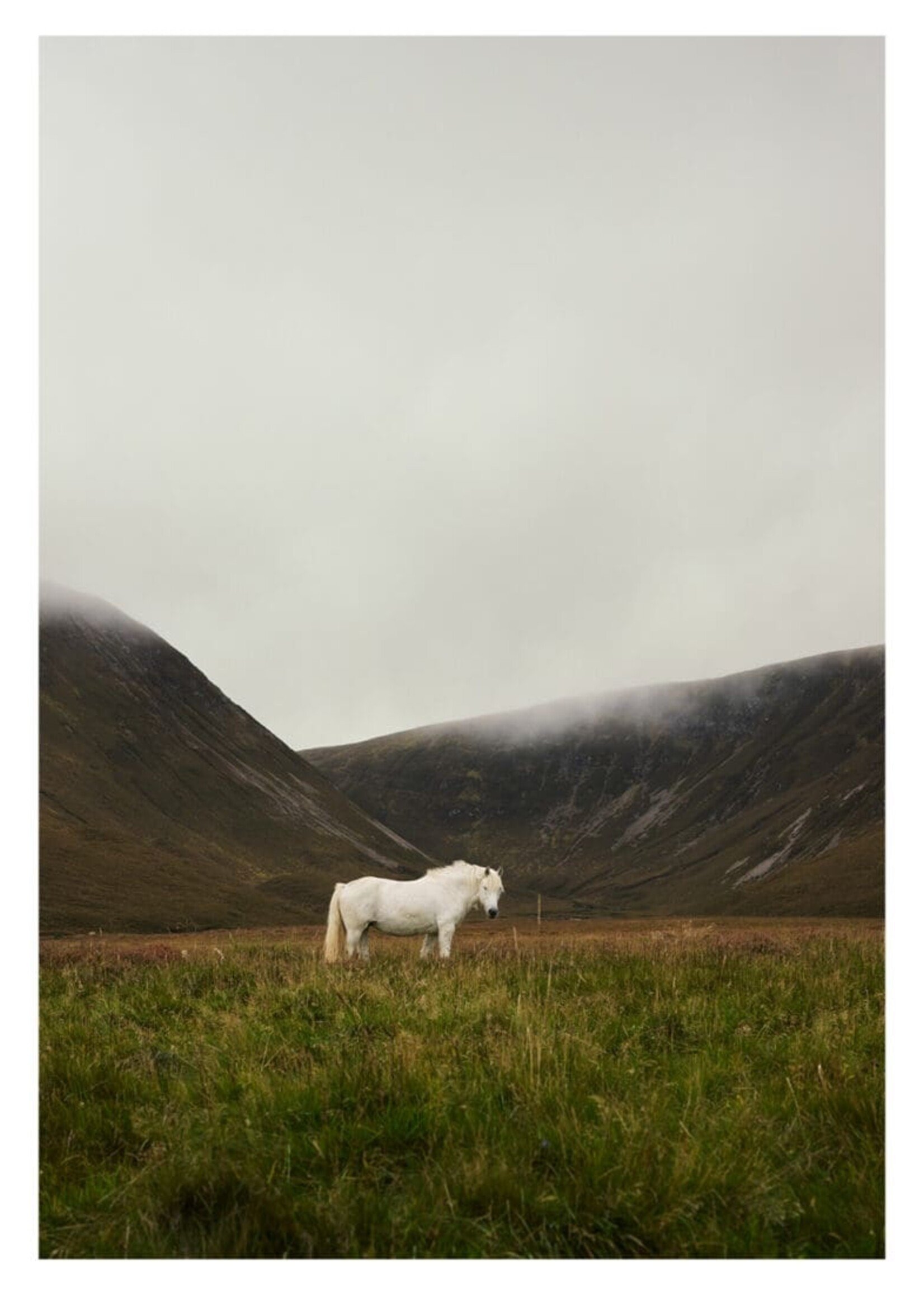 Solitude par Robin Skjoldborg