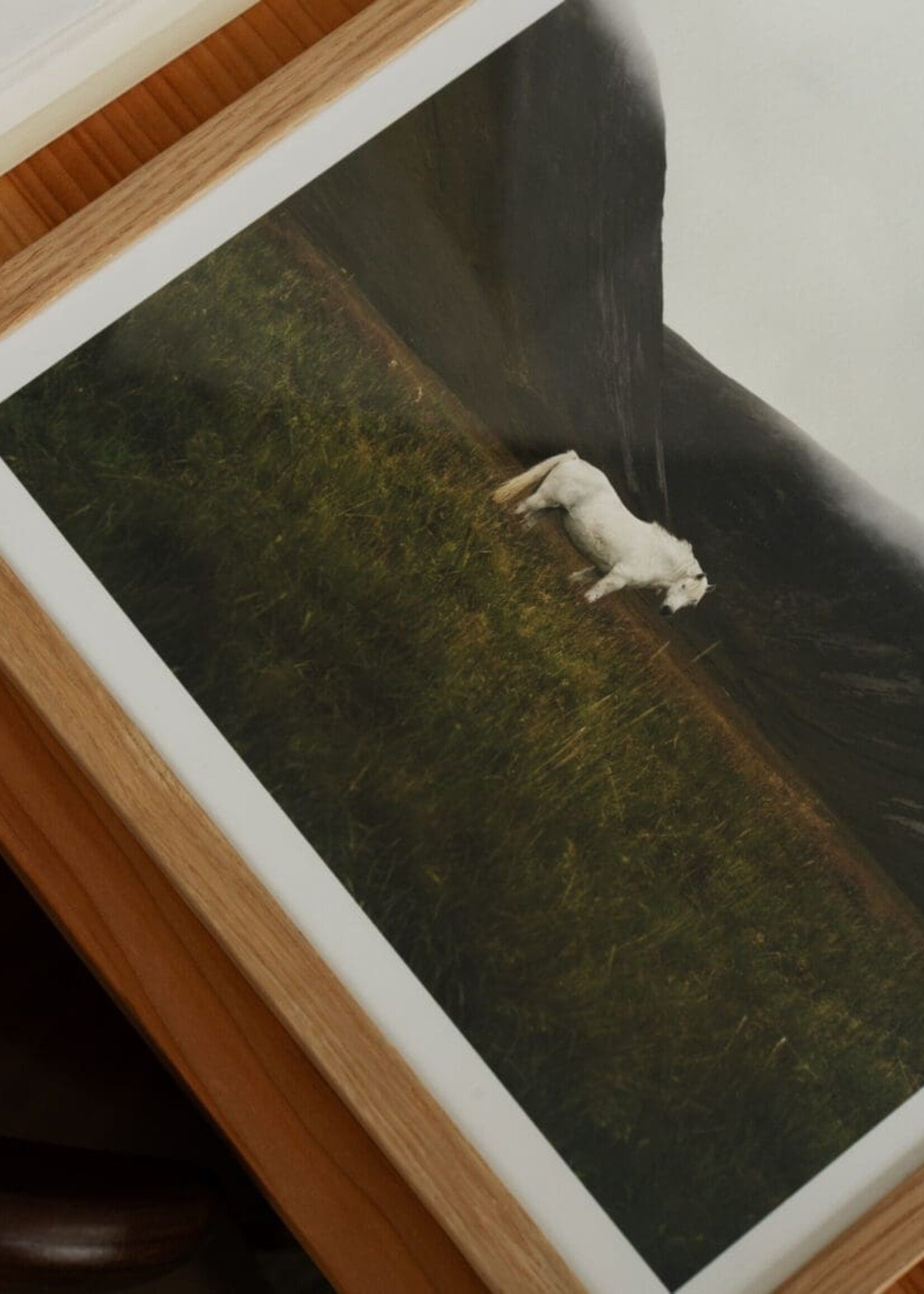 Solitude par Robin Skjoldborg