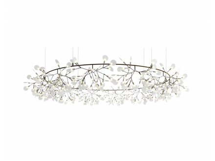 heracleum Big O copper heracleum Big O copper