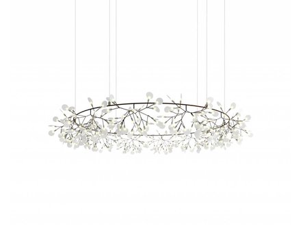 heracleum Big O nickel heracleum Big O nickel