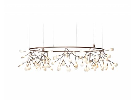 heracleum small Big O nickel heracleum small Big O nickel