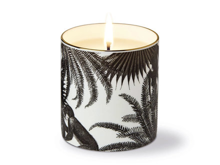 Chase and Wonder the tropical paradise candle Chase and Wonder the tropical paradise candle