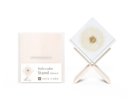 Sola Cubes sola cube stand - beech white