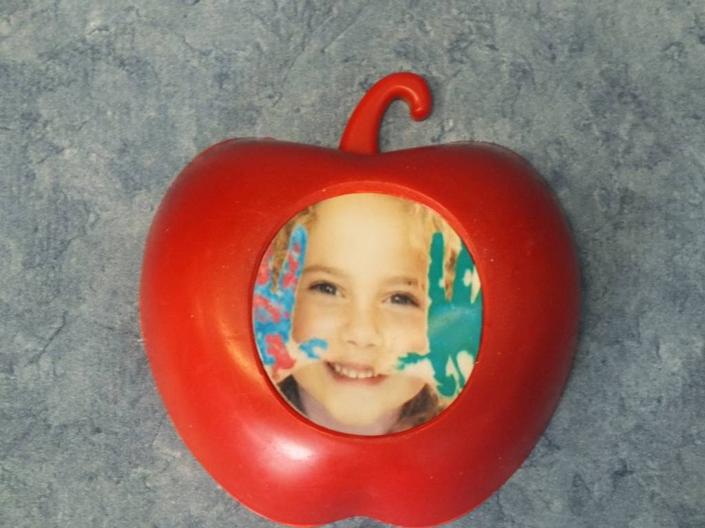 Children's Museum Factory Additional Customizable magnetic apples for the magnetic apple tree.