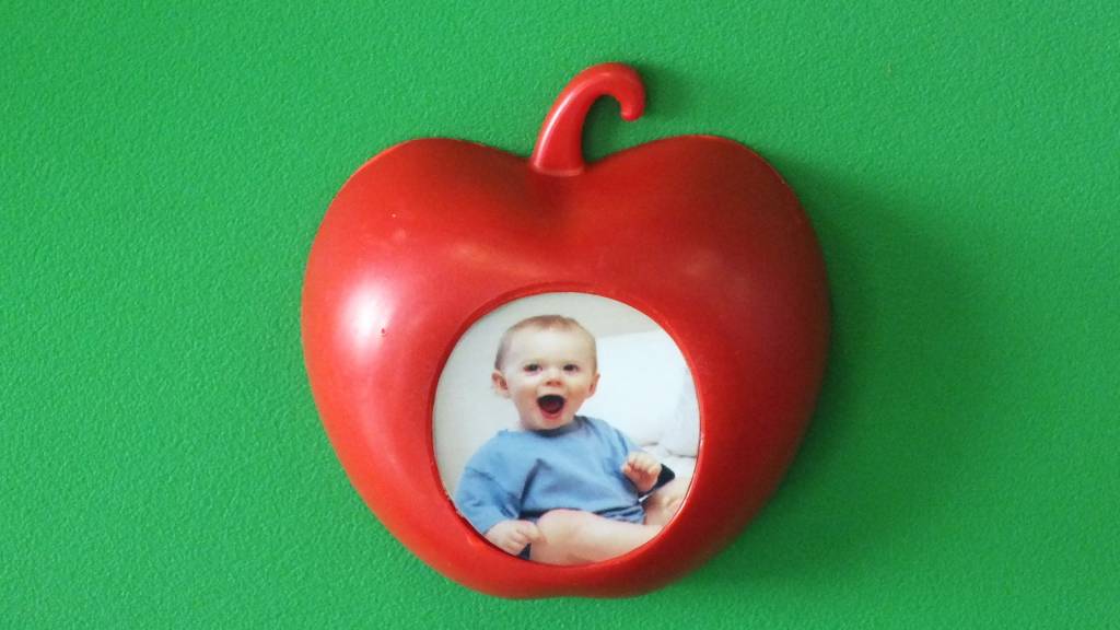 Children's Museum Factory Additional Customizable magnetic apples for the magnetic apple tree.