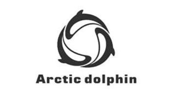 Arctic Dolphin