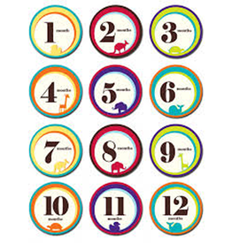 Sticky Bellies, LLC Sticky Bellies - Monthly Onesie Sticker Set