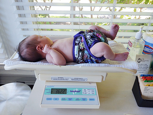 Digital Baby Scale, Infant Scale for Weighing in Pounds, Ounces