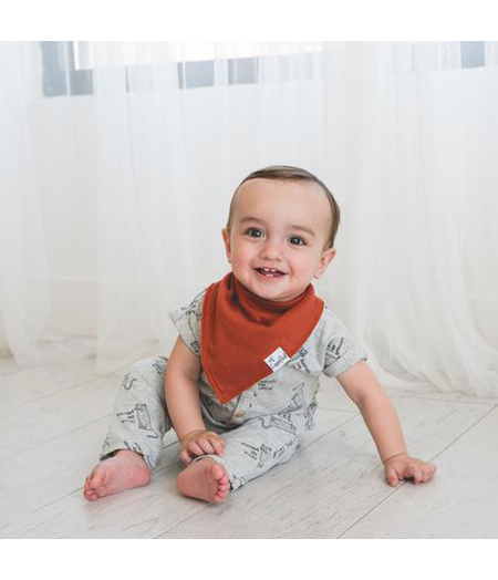 Copper Pearl Copper Pearl Bandana Bibs 4-pack