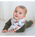 Copper Pearl Copper Pearl Bandana Bibs 4-pack