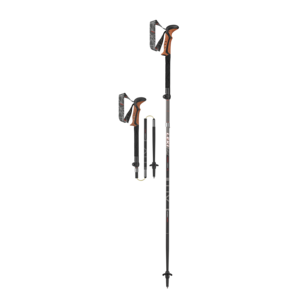 trekking stick online