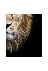 Monroe & Kent AFRICAN LION WALL DECOR