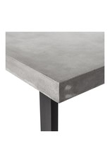 Monroe & Kent JEDRIK INDOOR/OUTDOOR DINING TABLE LARGE
