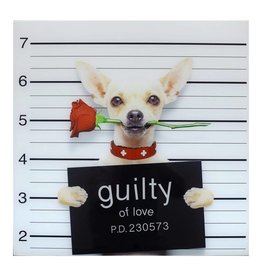 Monroe & Kent GUILTY CHIHUAHUA