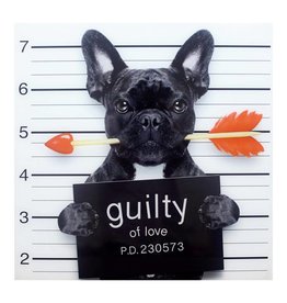 Monroe & Kent GUILTY FRENCH BULLDOG