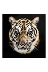 Monroe & Kent BENGAL WALL DECOR