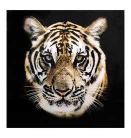 Monroe & Kent BENGAL WALL DECOR