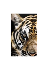 Monroe & Kent BENGAL WALL DECOR