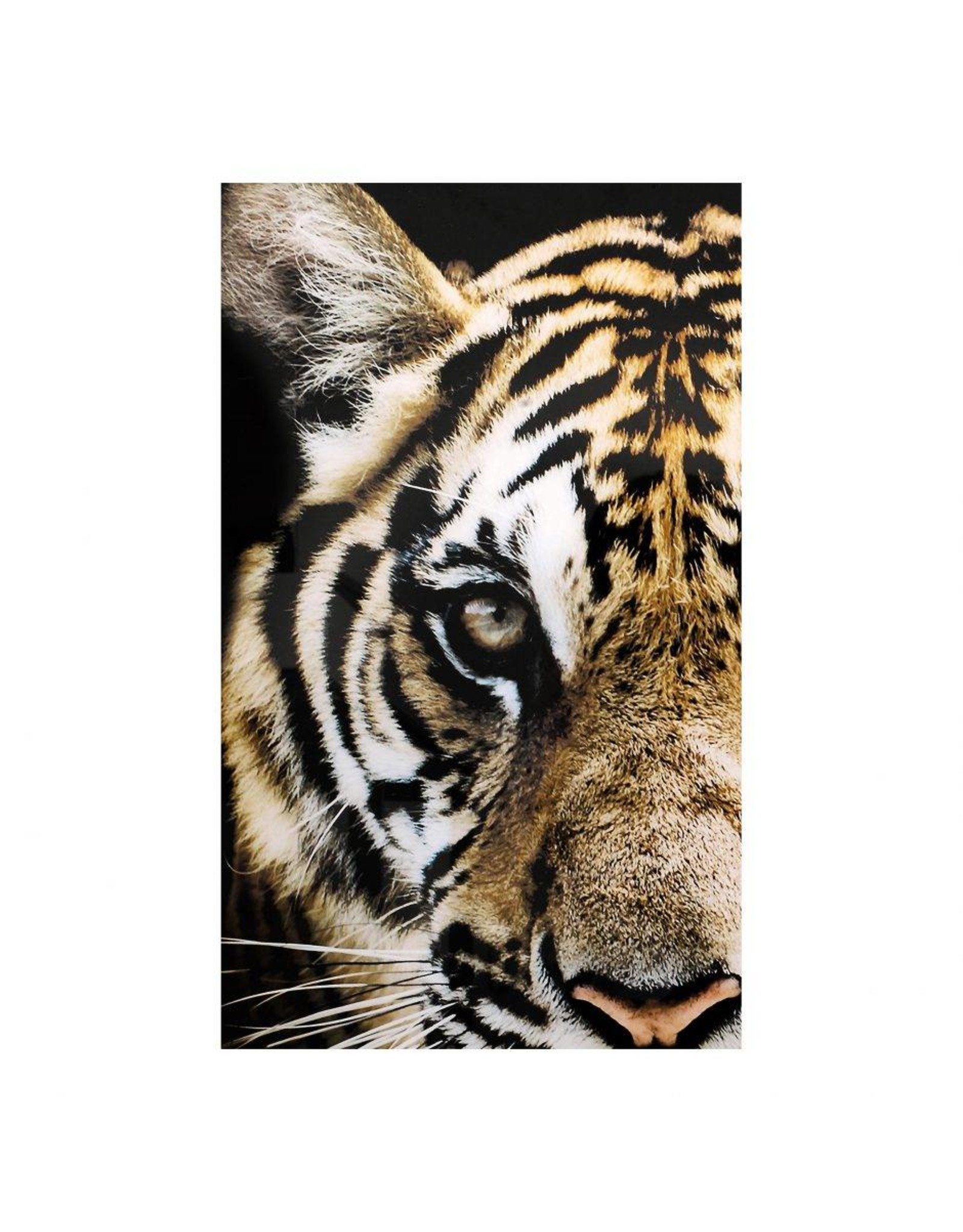 Monroe & Kent BENGAL WALL DECOR