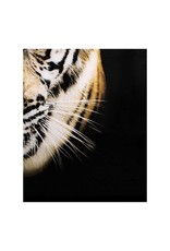 Monroe & Kent BENGAL WALL DECOR