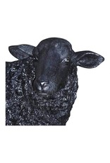 Monroe & Kent BAA BAA BLACK SHEEP STATUE