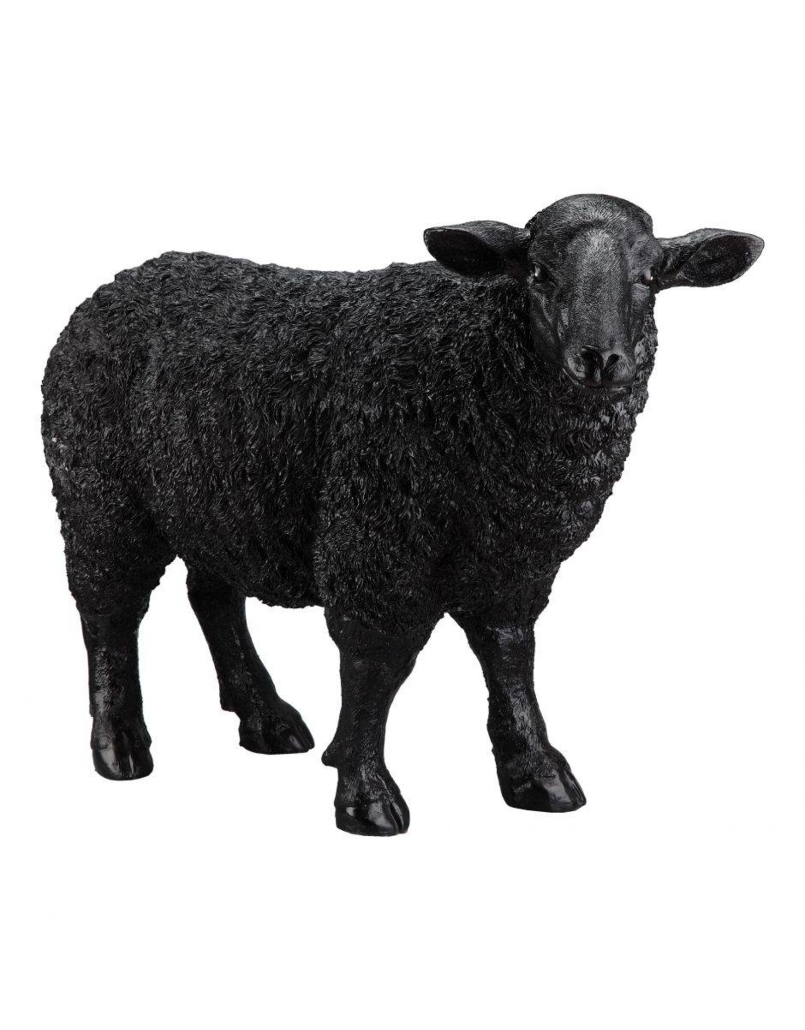 Monroe & Kent BAA BAA BLACK SHEEP STATUE