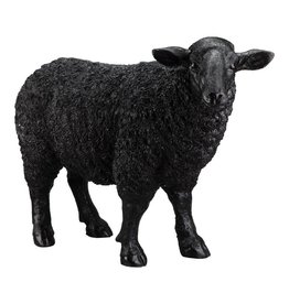 Monroe & Kent BAA BAA BLACK SHEEP STATUE