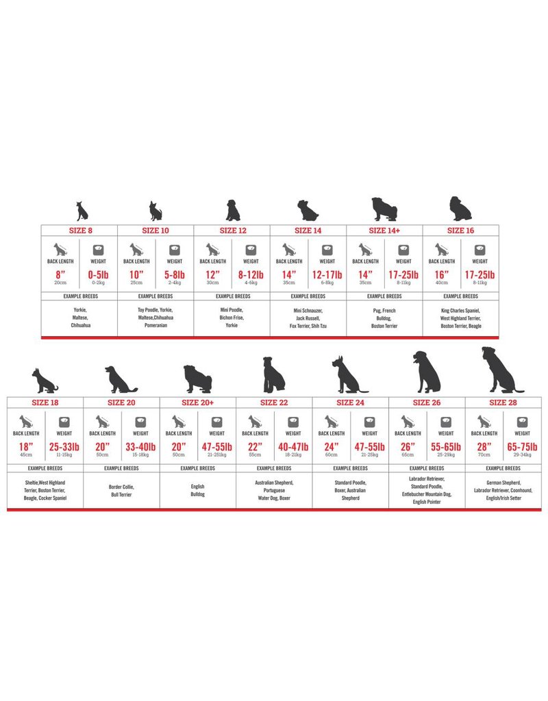 canada pooch everest explorer