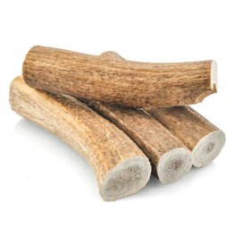 Yellowstone FISH & BONE Deer Antler by the Ounce