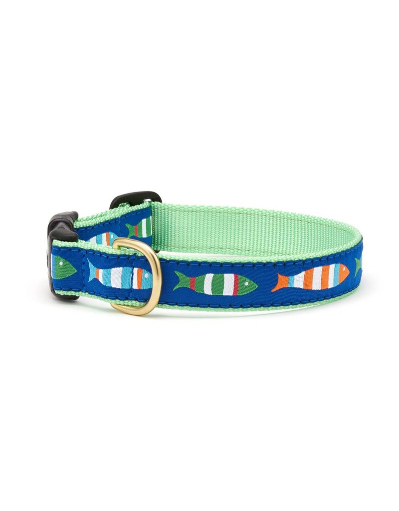 UP COUNTRY UP COUNTRY Funky Fish Collar