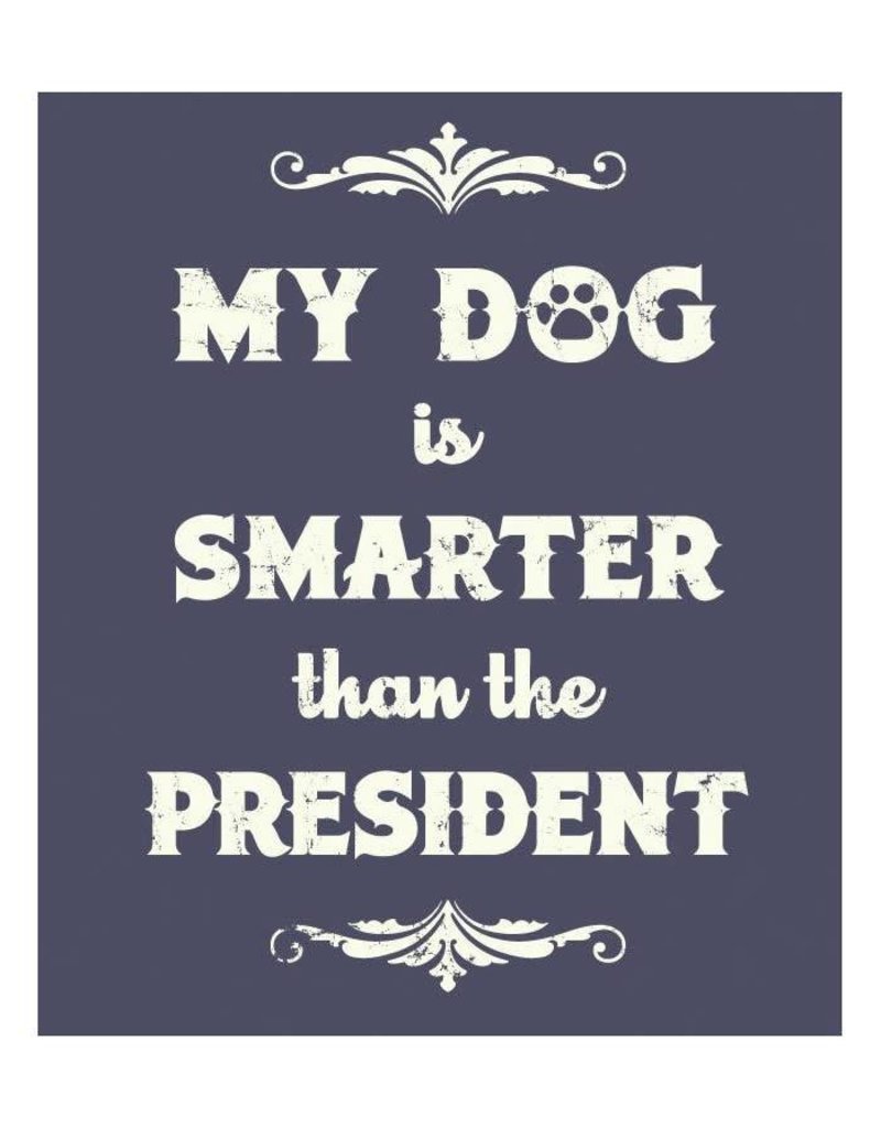 Spoiled Rotten >> Spoiled Rotten Dogz My Dog Is Smarter Unisex Tshirt Denim The Fish Spoiled Rotten >> Spoiled Rotten Dogz My Dog Is Smarter Unisex Tshirt Denim The Fish