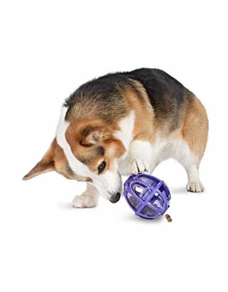 PETSAFE BUSY BUDDY Kibble Nibble Puzzle Toy