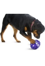 PETSAFE BUSY BUDDY Kibble Nibble Puzzle Toy