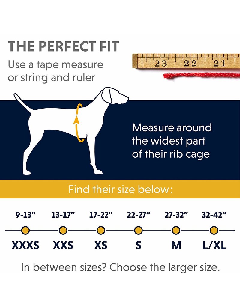 ruffwear light harness