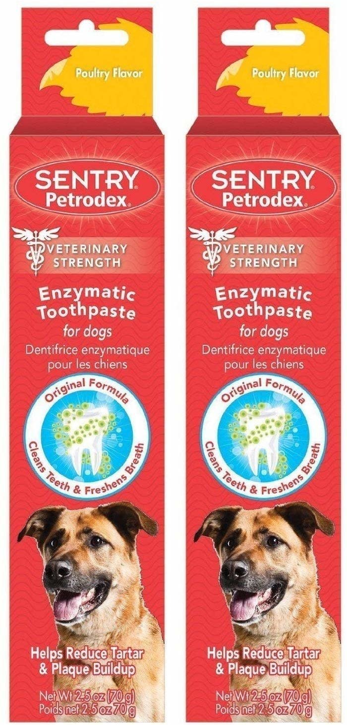 petrodex enzymatic toothpaste 6.2 oz