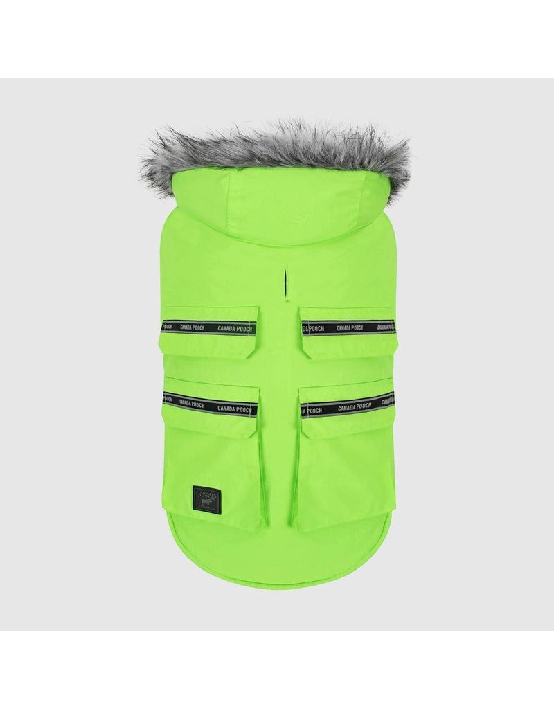 canada pooch everest explorer