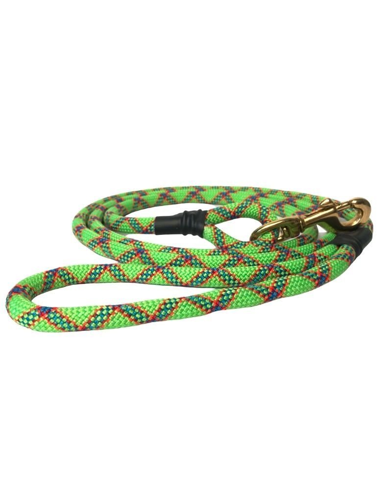 6ft dog leash